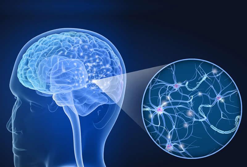 Esclerose Múltipla, exames que ajudam diagnosticar